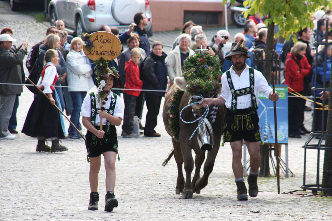 Viehscheid Almabtrieb Immenstadt